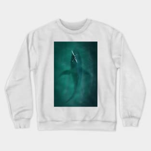 Blue Canoe Whale Crewneck Sweatshirt